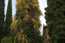 688 granada partal-grten